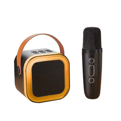Portable mini karaoke
