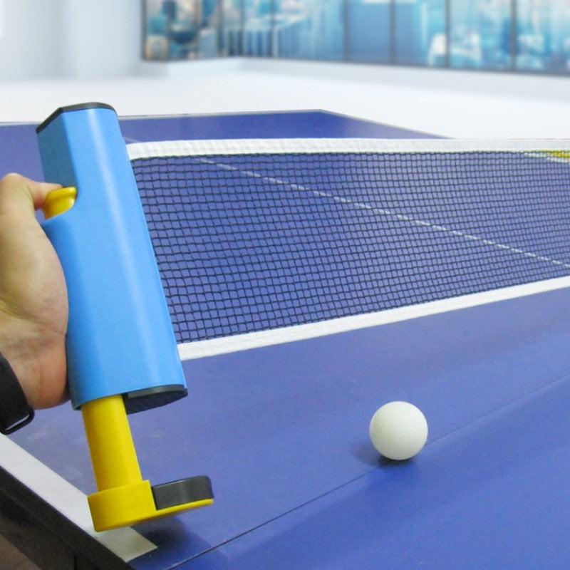 Portable ping pong set